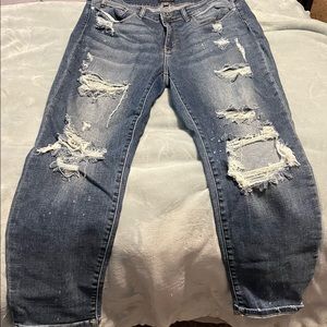 Boyfriend fit Judyblue Crop Jeans 18W